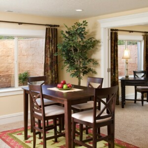 Window Well Replacement in Highlands Ranch, Colorado