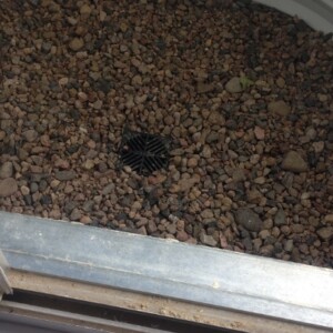 Window Well Sump Pump Installation in Denver